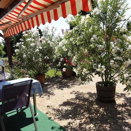 شقة Ferienwohnung Fuer 2 Personen 1 Kind Ca 40 Qm In Zalakaros, Westungarn Zala *